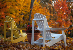 Two Muskoka chairs in an outdoor setting among fall colours